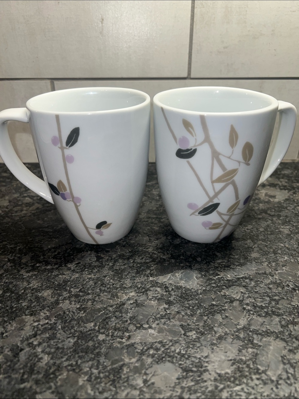 Corelle Coordinates Midnight Garden Ceramic Floral Accent Mugs - Set of 2